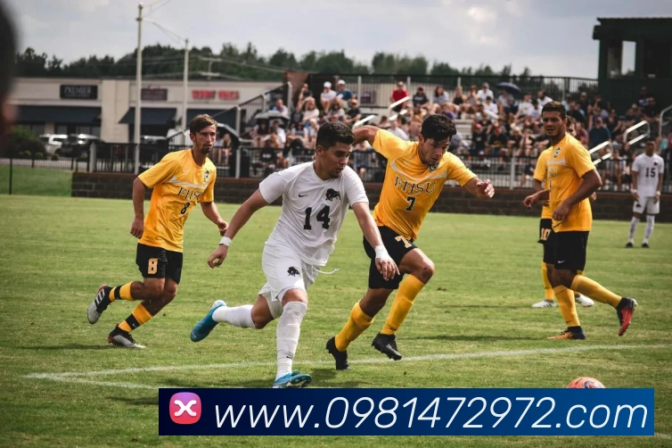 多彩内容专区
